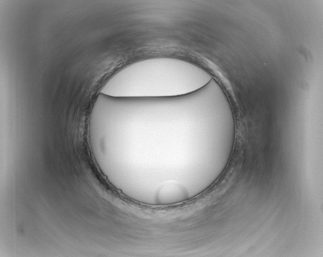X0000111600018200907161224