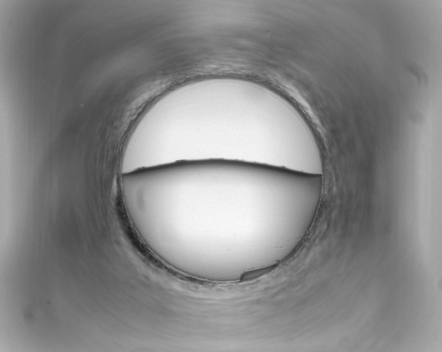 X0000111600019200907161224