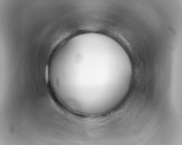 X0000111600020200907161224