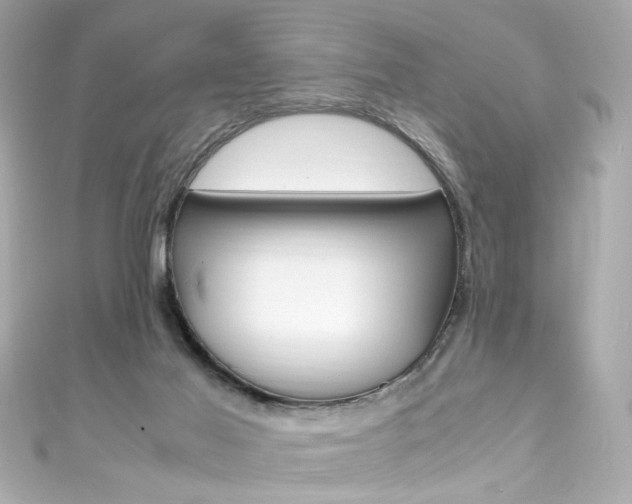 X0000111600021200907161224