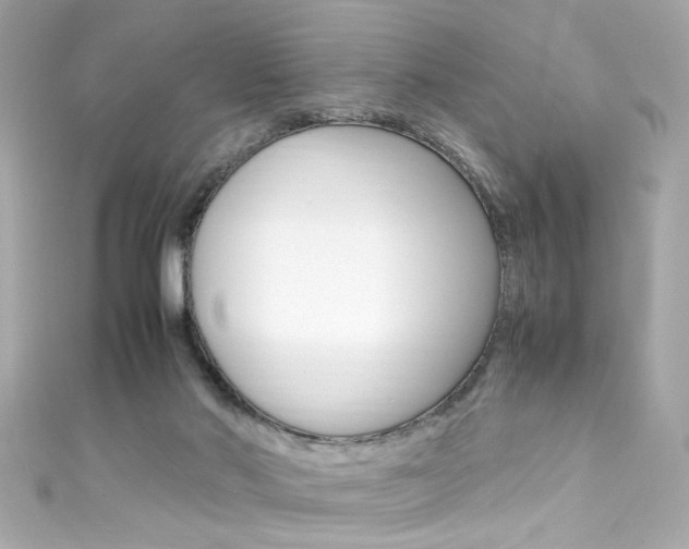 X0000111600022200907161224
