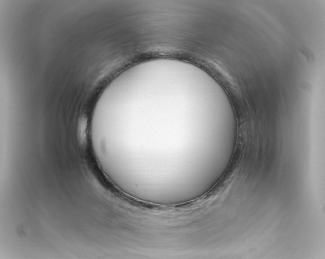 X0000111600024200907161224