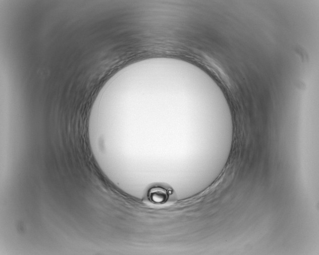 X0000111600025200907161224