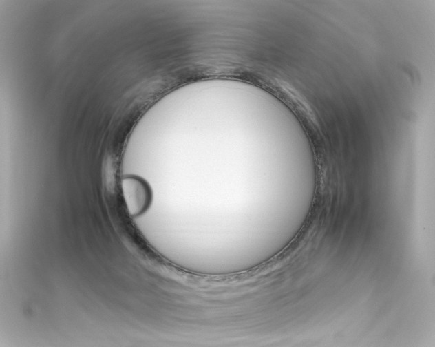 X0000111600026200907161224