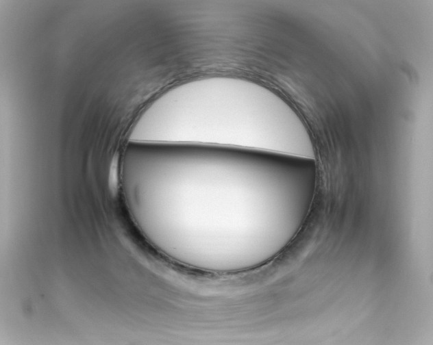 X0000111600028200907161224