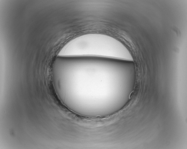X0000111600029200907161224