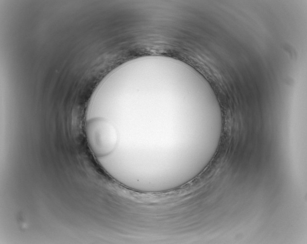 X0000111600030200907161224