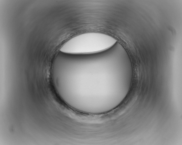 X0000111600032200907161224