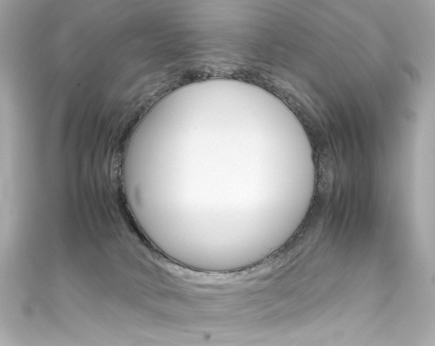 X0000111600034200907161224