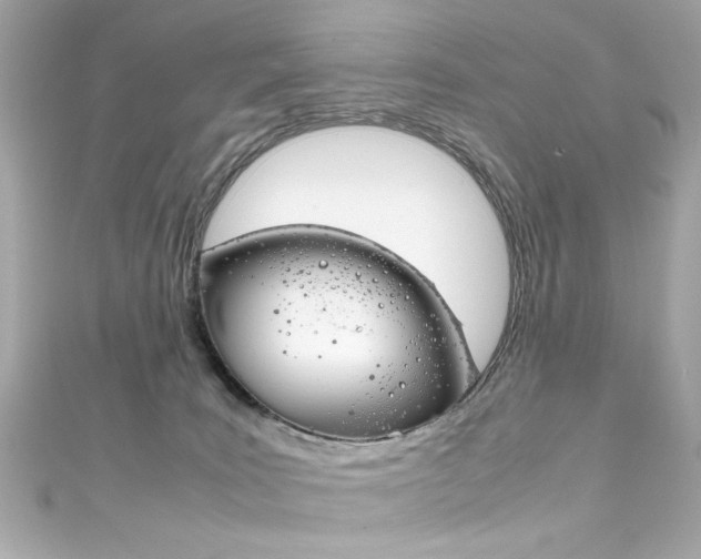 X0000111600035200907161224