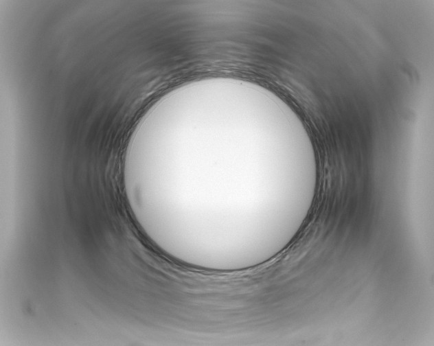 X0000111600036200907161223