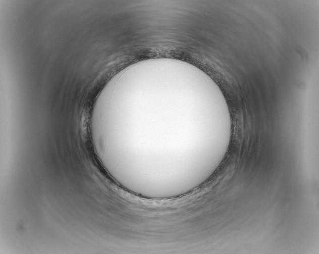 X0000111600038200907161223