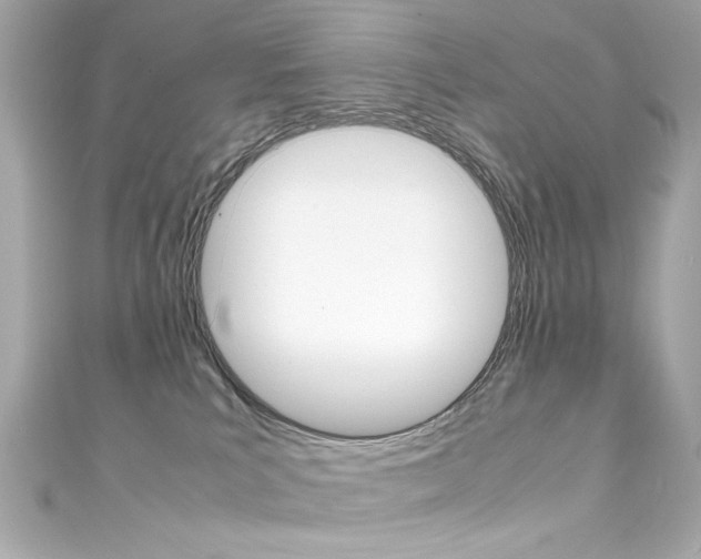 X0000111600039200907161223
