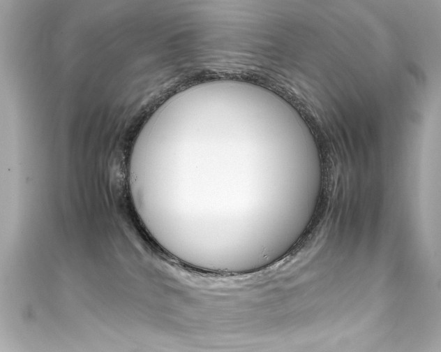 X0000111600040200907161223