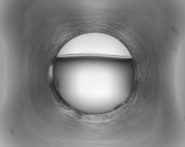 X0000111600041200907161223
