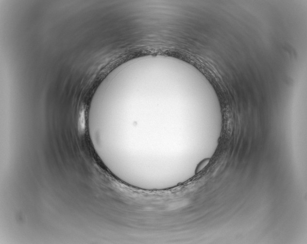 X0000111600042200907161223