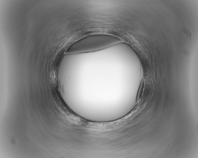 X0000111600045200907161223