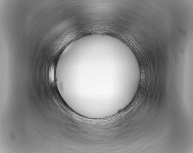 X0000111600046200907161223