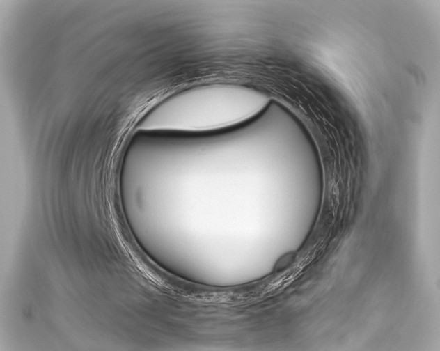 X0000111600049200907161223