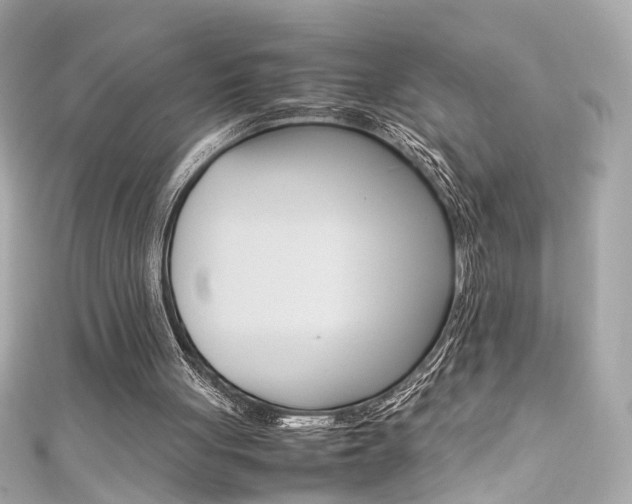 X0000111600051200907161223