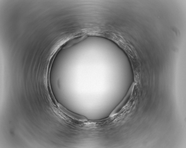 X0000111600052200907161223