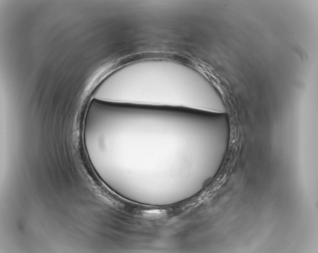 X0000111600053200907161223
