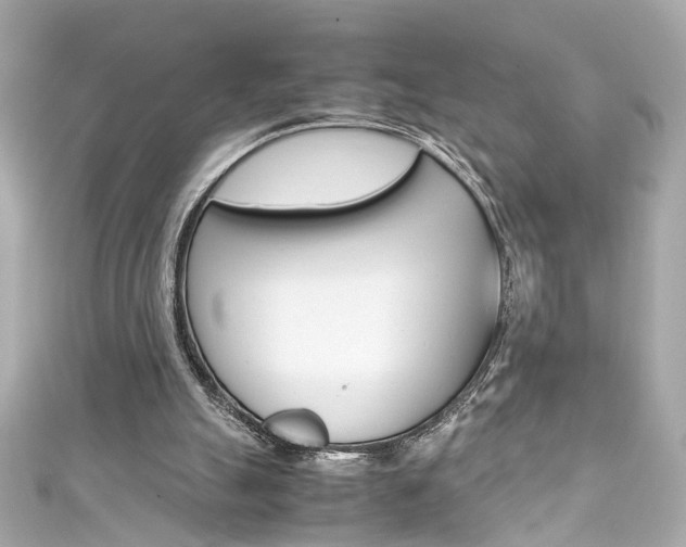 X0000111600055200907161223