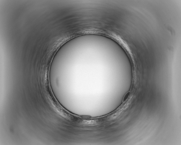 X0000111600057200907161223