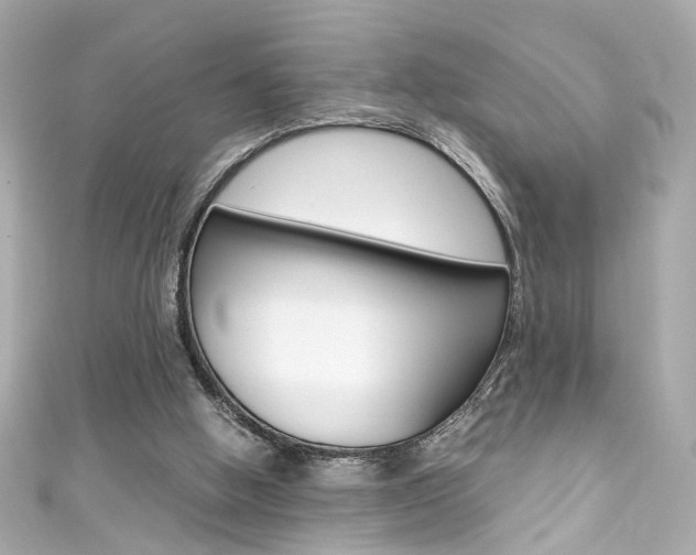 X0000111600058200907161223