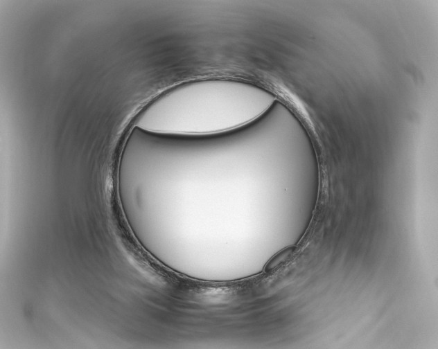X0000111600059200907161223