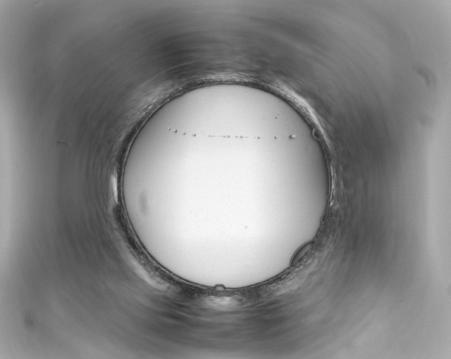 X0000111600061200907161223