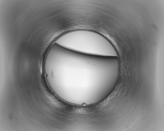 X0000111600062200907161223