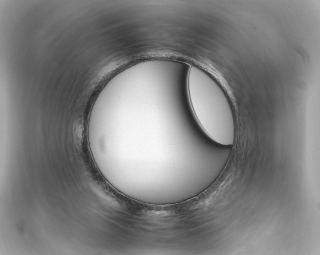X0000111600063200907161223