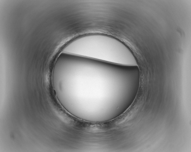 X0000111600064200907161223