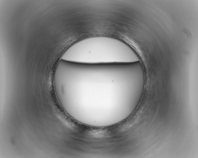X0000111600065200907161223