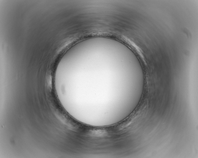 X0000111600067200907161223