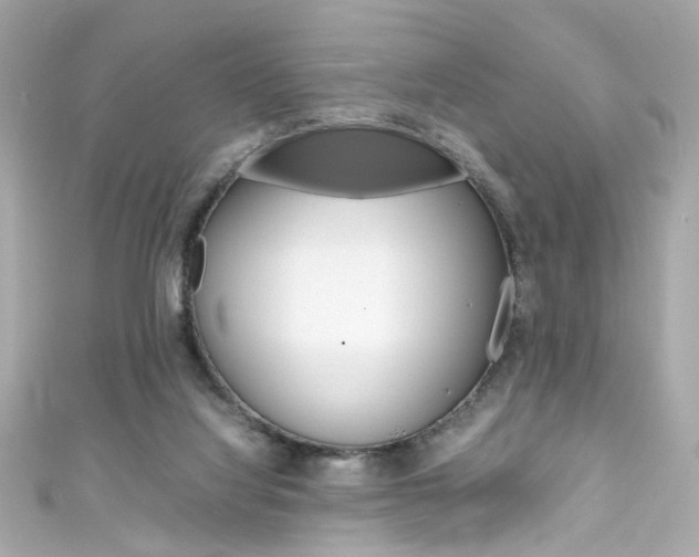 X0000111600068200907161223