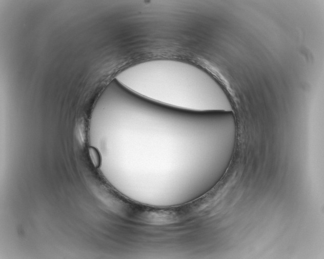 X0000111600069200907161223