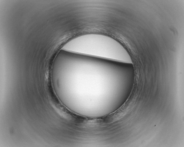 X0000111600072200907161223