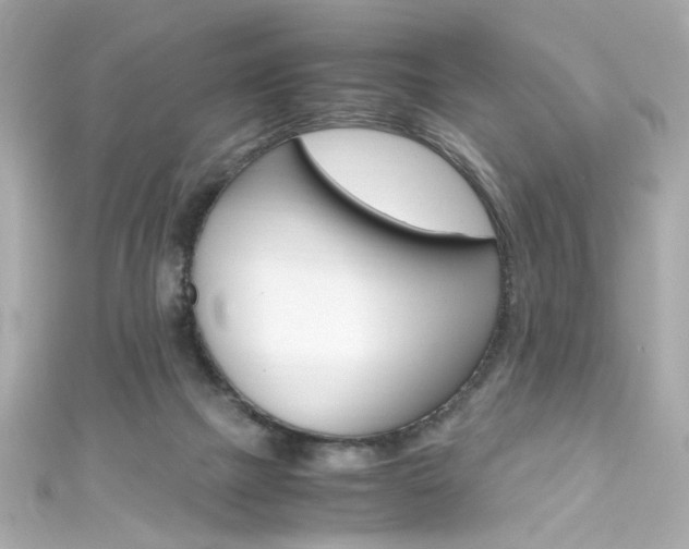 X0000111600073200907161223