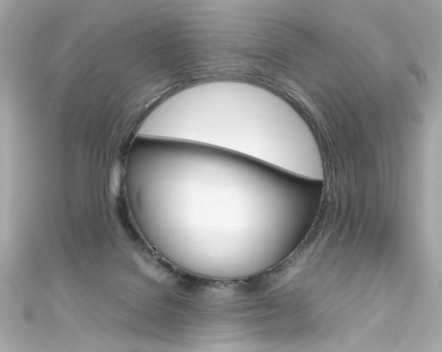 X0000111600076200907161223