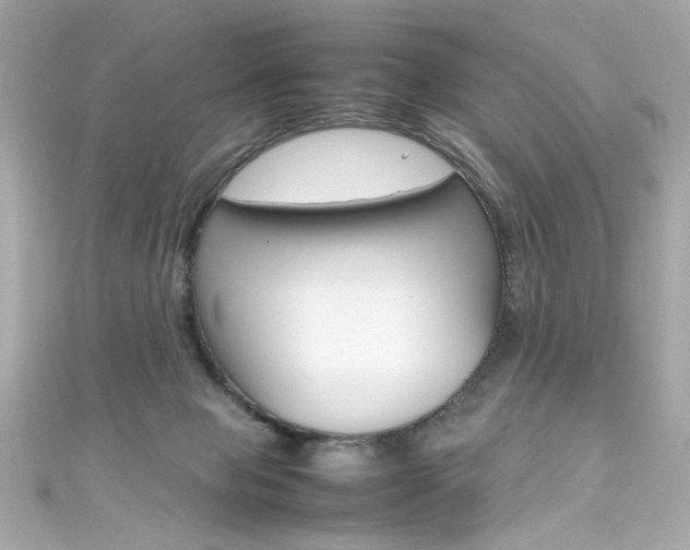 X0000111600077200907161223