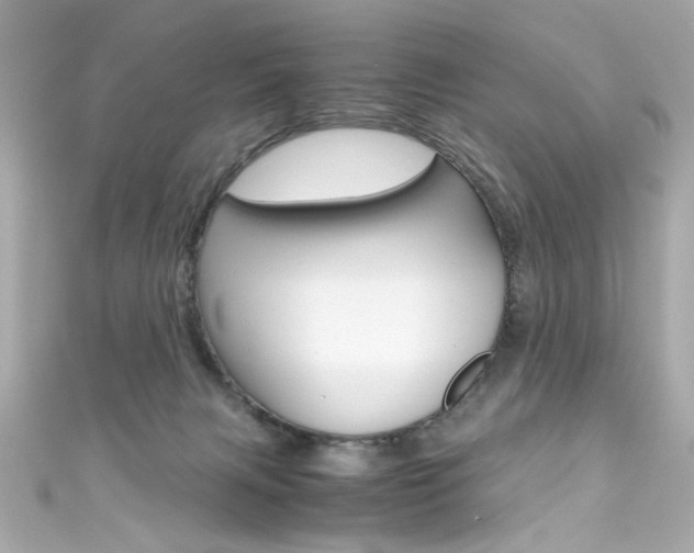 X0000111600079200907161223