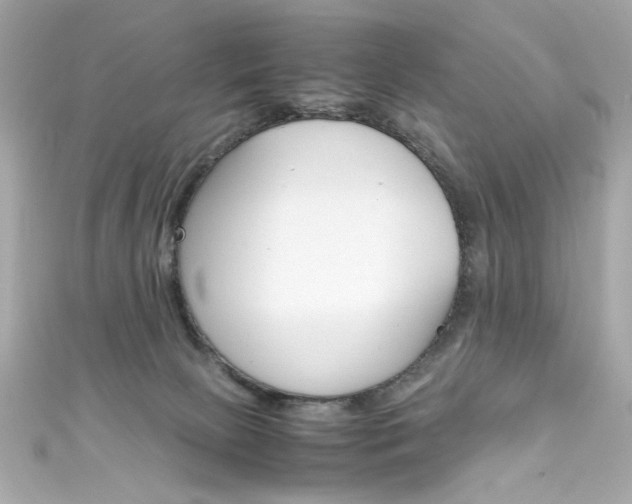 X0000111600081200907161223