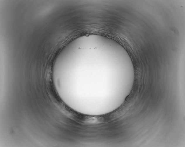 X0000111600083200907161223