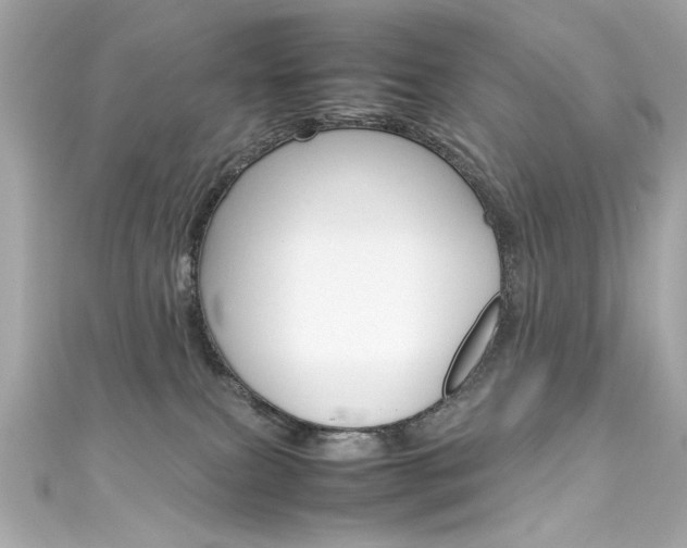 X0000111600087200907161223