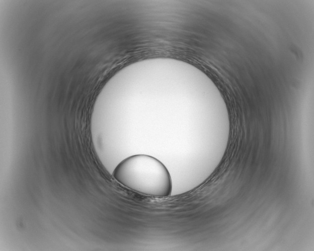 X0000111600088200907161223