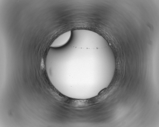 X0000111600089200907161223