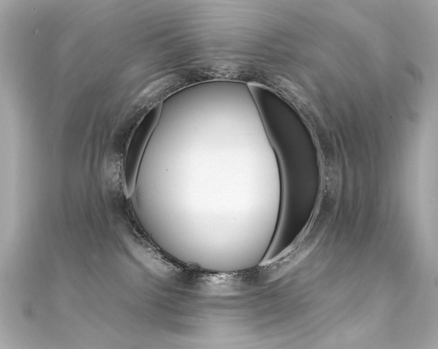 X0000111600092200907161223