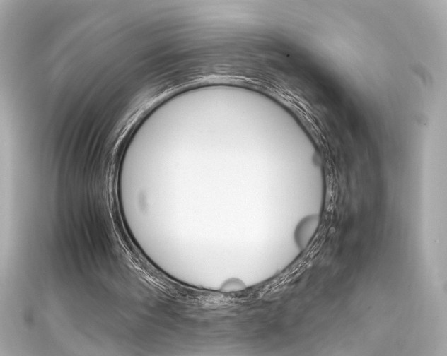 X0000111600098200907161223